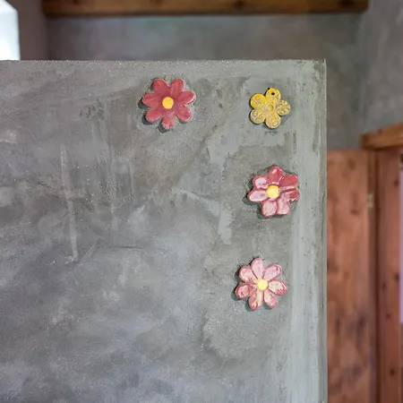 Casa Rosa - Casas Florescer