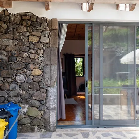 Casa Flor - Flower *