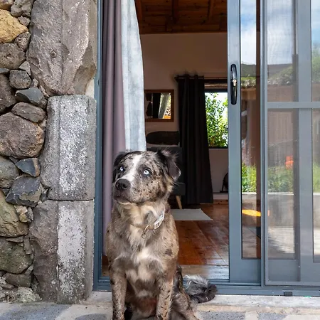 Casa Rosa - Casas Florescer