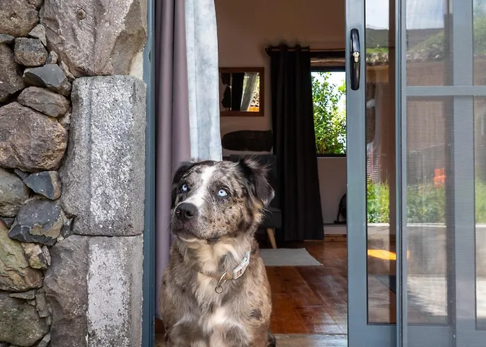 Casa Rosa - Casas Florescer